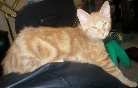 It's Peaches!