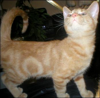 It's Peaches!