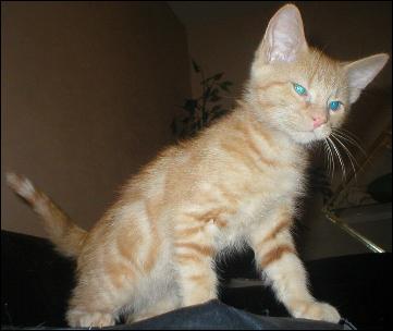 It's Peaches!