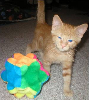 It's Peaches!