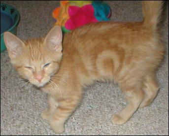 It's Peaches!