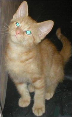 It's Peaches!