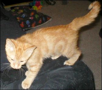 It's Peaches!