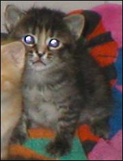 It's Pepper!