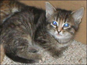 It's Pepper!