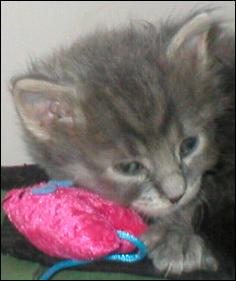 It's Precious!