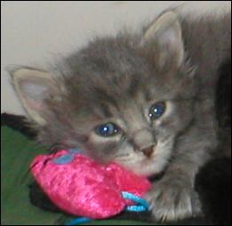 It's Precious!
