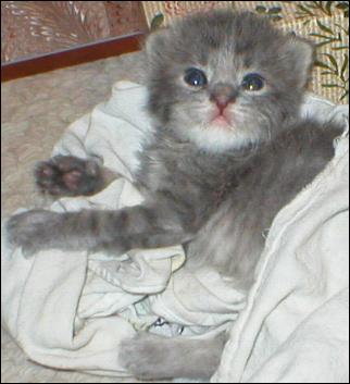 It's Precious!