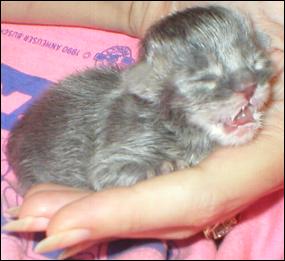It's Precious!