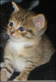 It's baby Sandi!