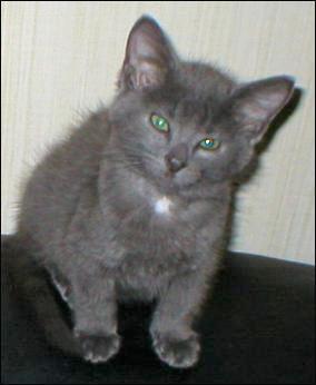 It's Smokey Joe