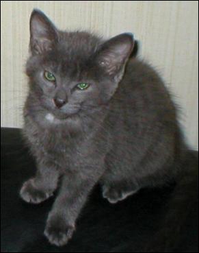 It's Smokey Joe