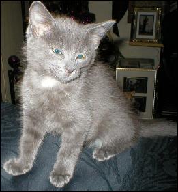 It's Smokey Joe