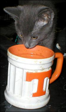 It's Smokey Joe