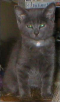 It's Smokey Joe