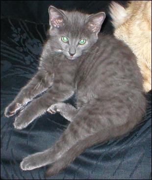 It's Smokey Joe