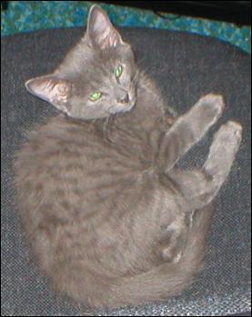 It's Smokey Joe