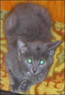 It's Smokey Joe