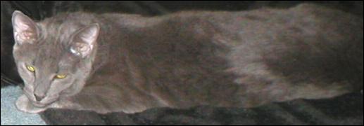 It's Smokey Joe