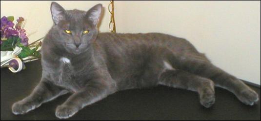 It's Smokey Joe
