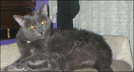 It's Smokey Joe