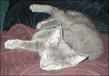 It's Smokey Joe