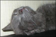 It's Smokey Joe