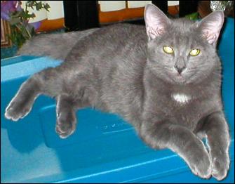 It's Smokey Joe