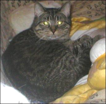 It's Snuggles