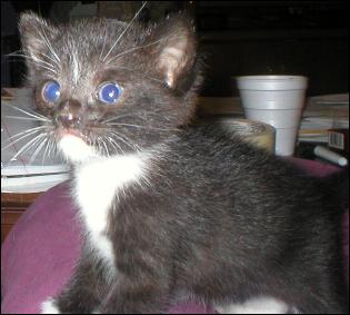 It's Sox