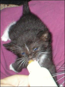 It's Sox