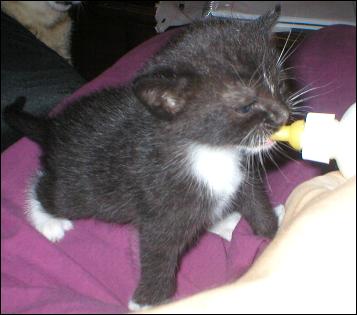 It's Sox