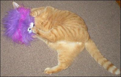 It's Tango